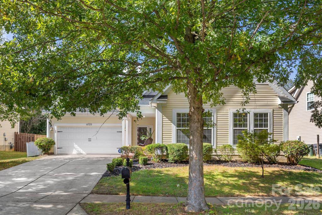 6723 Carrington Pointe Drive - Photo 1