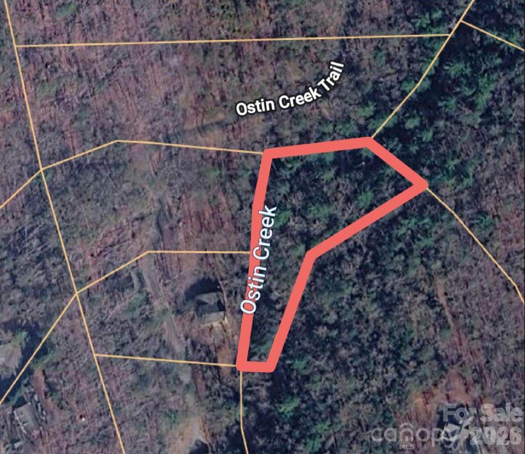0 Ostin Creek Trail - Photo 1