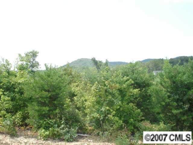 2225 Pinnacle View Drive - Photo 1