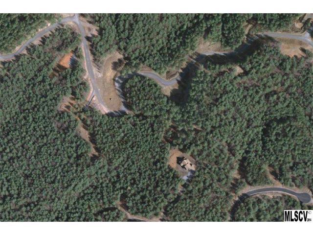 LOT 173 Collette Ridge Circle - Photo 1