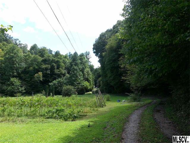 2590 Zacks Fork Road - Photo 1