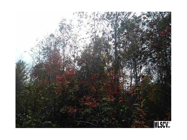 0003 Hunters Ridge Road - Photo 1