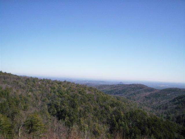 8605 Hackberry Road - Photo 1