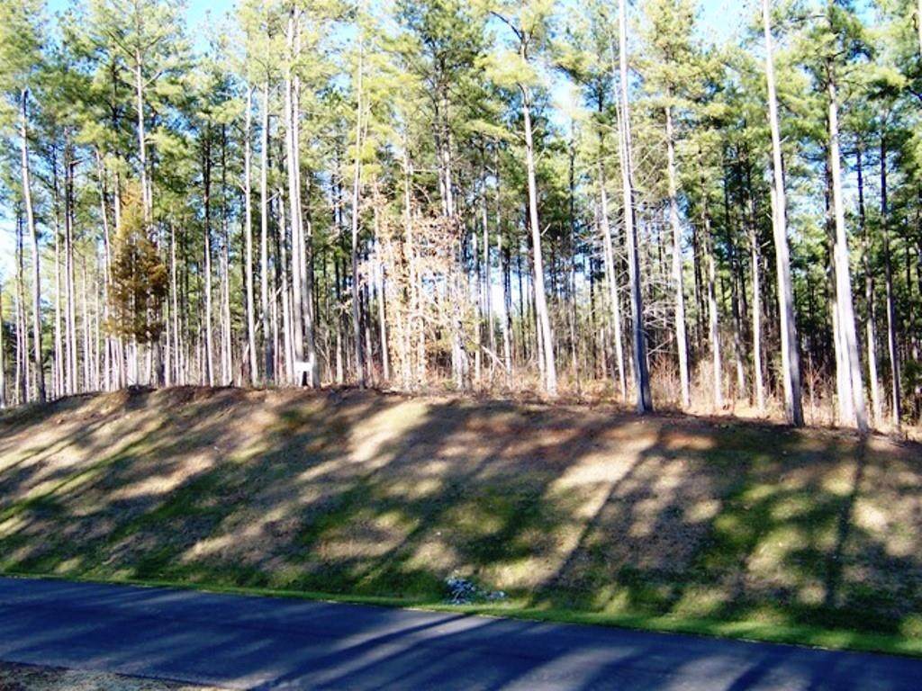 5848 Long Shore Drive - Photo 1