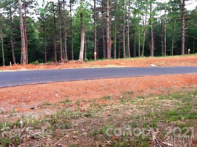 3122 Bear Paw Avenue - Photo 1