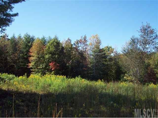 3123 Bear Trail - Photo 1