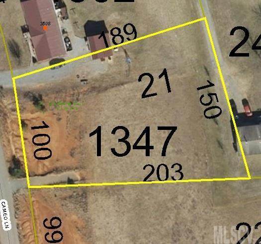Lot 21 Cameo Lane - Photo 1