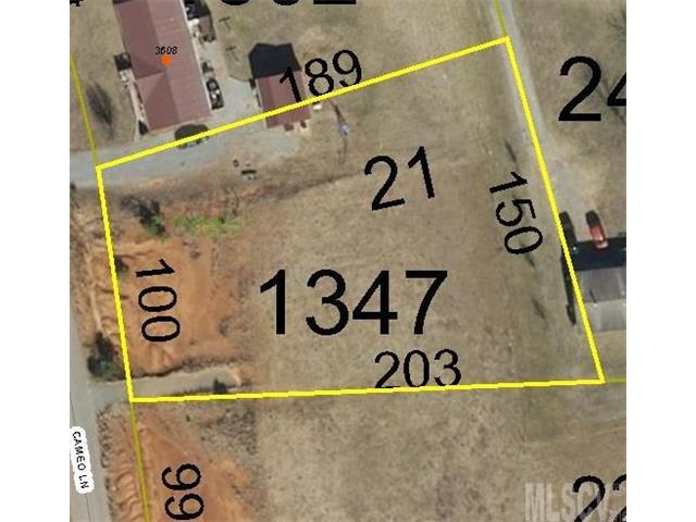 Lot 21 Cameo Lane - Photo 1