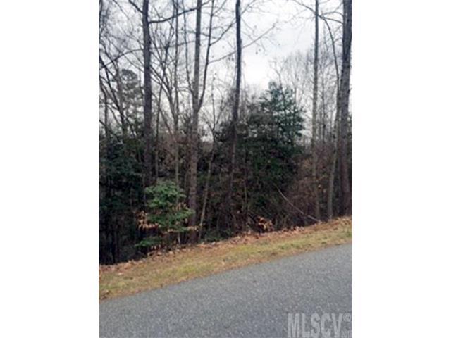 424/425 Lake Forest Drive - Photo 1