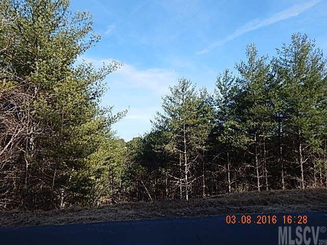 Lot 55 Collette Ridge Circle - Photo 1