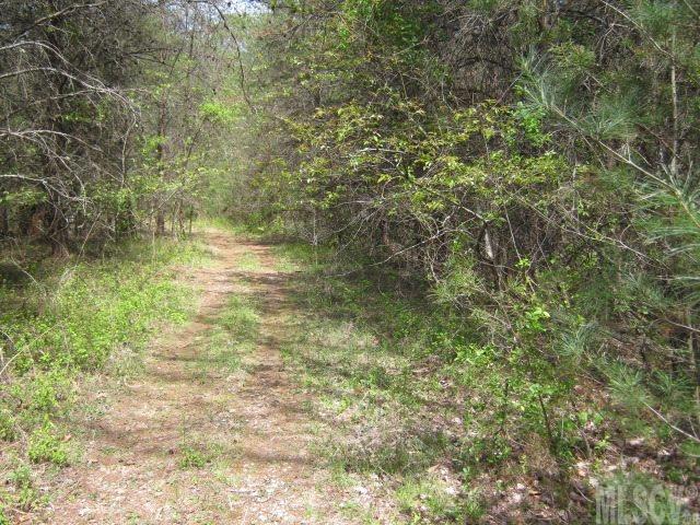 0000 Houck Mountain Road - Photo 1