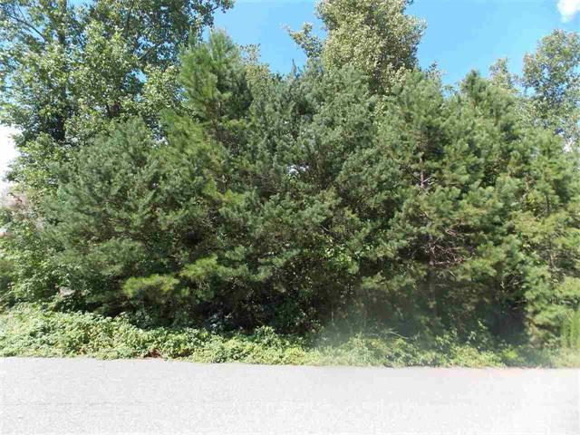 0 Cool Water Drive - Photo 1