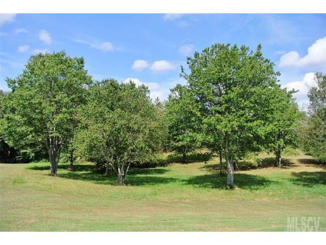 Lot 25 Maplewood Lane - Photo 1