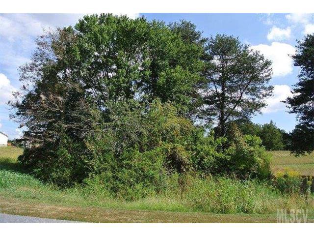Lot 51 Lynnbrook Lane - Photo 1
