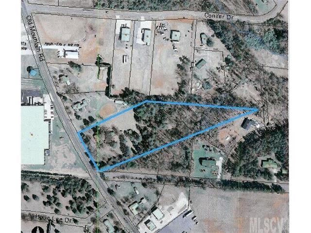 2010 Old Mountain Road - Photo 1