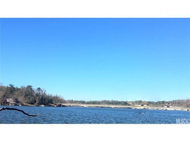 Lots 1 & 3 Reitzel Road - Photo 1