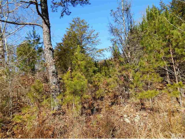 315 Georgetown Road - Photo 1