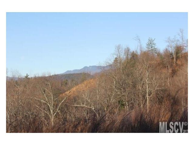 Lot# 533 Roca Vista Drive - Photo 1