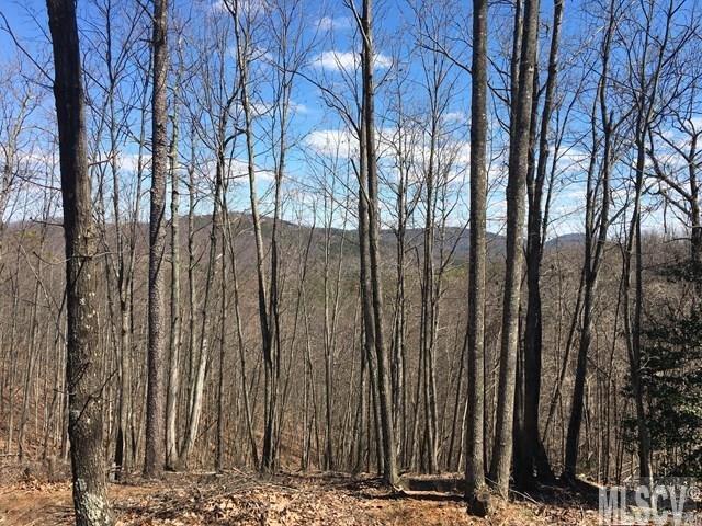 3789 Ball Alley Creek Road - Photo 1
