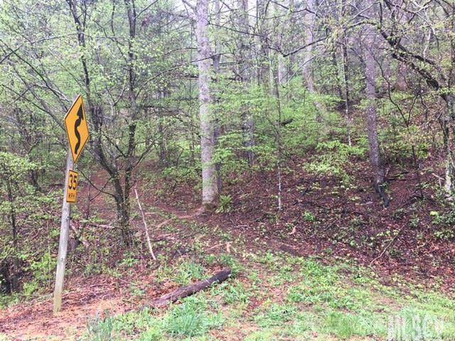 0000 Waterfalls Road - Photo 1