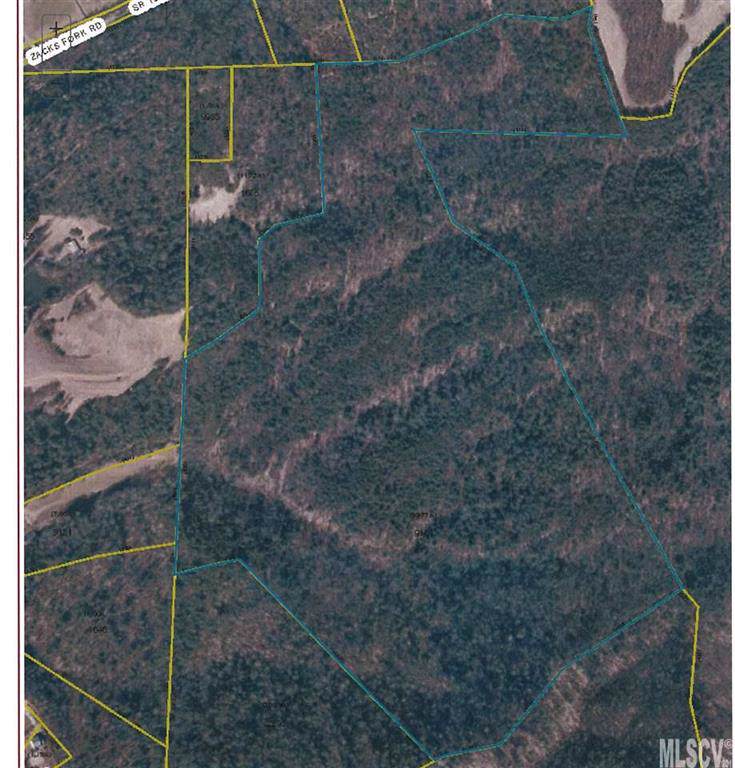 N/A Zacks Fork Road - Photo 1