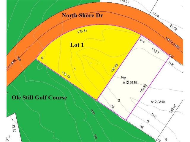 Lot 1 North Shore Drive - Photo 1
