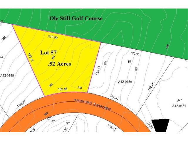 Lot 57 Players Ridge Road - Photo 1
