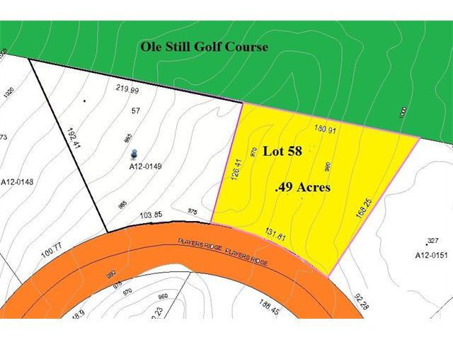 Lot 58 Ph II Players Ridge Road - Photo 1