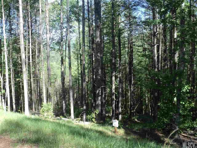 Lot 376 Table View Lane - Photo 1