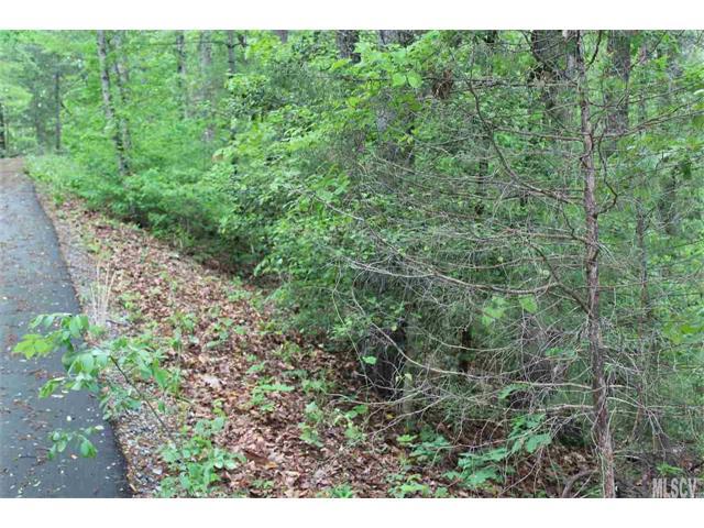 N/A Cedar Crest Drive - Photo 1