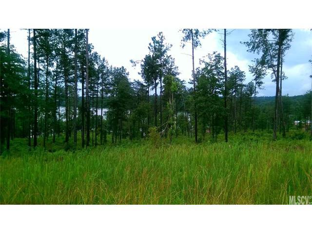 00 Waters Edge Drive - Photo 1