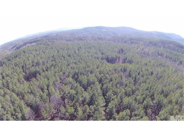 3792 Big Creek Road - Photo 1