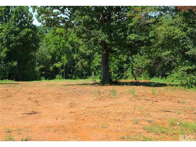 2115 Moss Farm Road - Photo 1