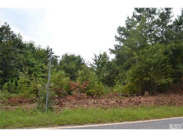 000 Turner Road - Photo 1