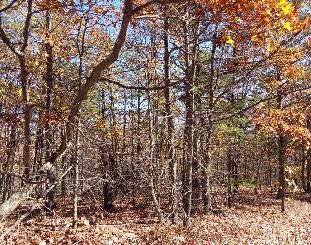 4399 Rocky Road - Photo 1