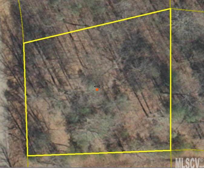 4192 Tonys Trail - Photo 1