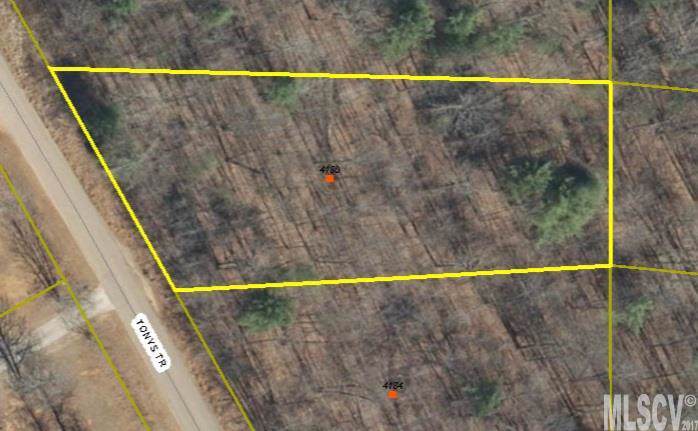 4180 Tonys Trail - Photo 1