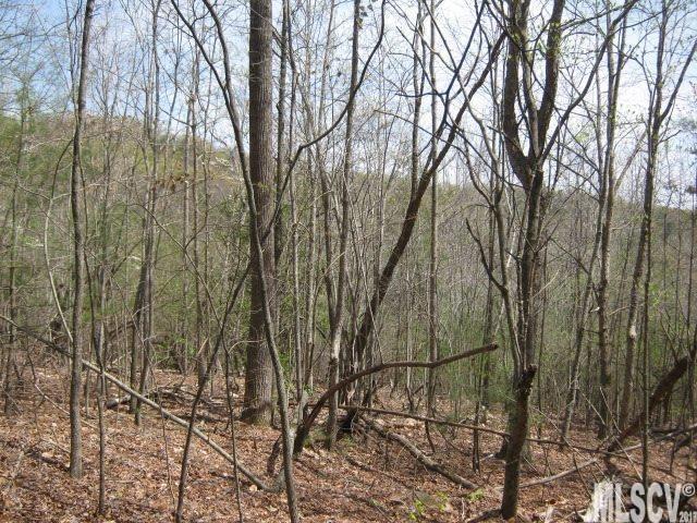 000 Houck Mountain Road - Photo 1