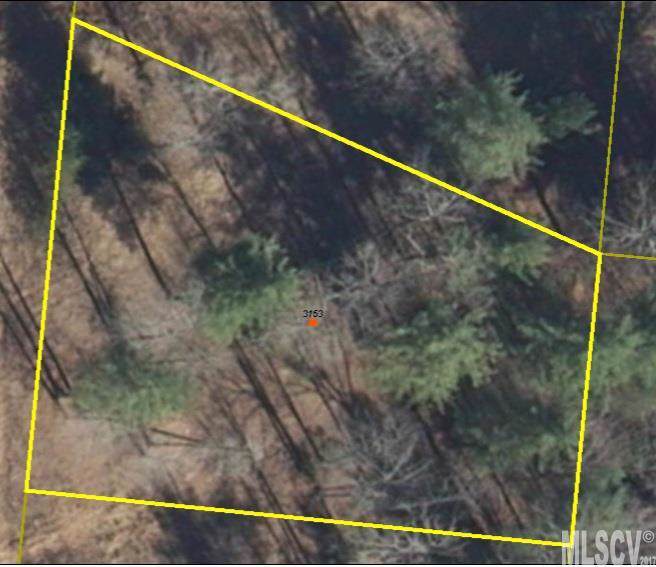 3153 Bear Trail - Photo 1