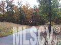 2697 Kite Drive - Photo 1