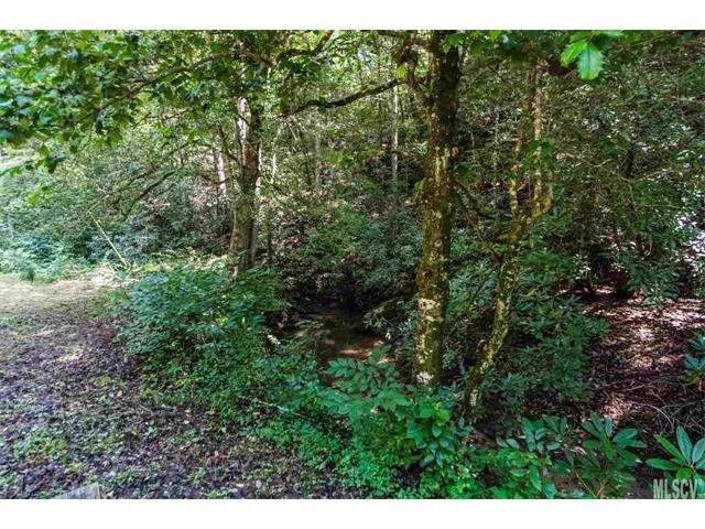 0 Carroll Mill Creek Lane - Photo 1