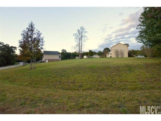 TBD Buck Shoals Circle - Photo 1