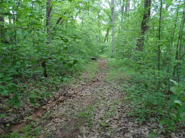lots 19-30/C Meadowbrook Lane - Photo 1