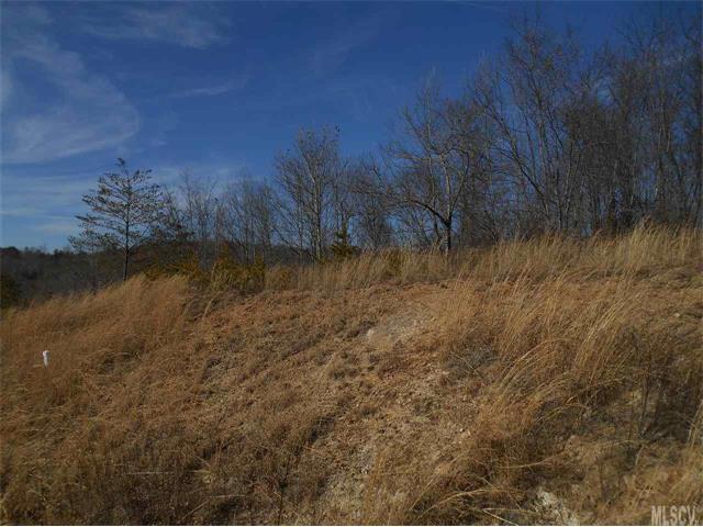LOT #25 Merts Way - Photo 1