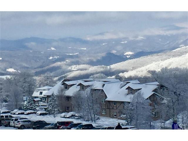1005 Beech Mountain Parkway - Photo 1