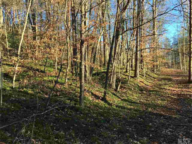 000 Brush Mountain Road - Photo 1