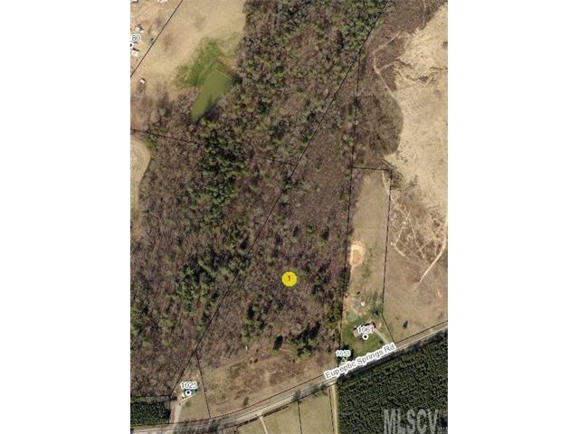 1047 Eupeptic Springs Road - Photo 1
