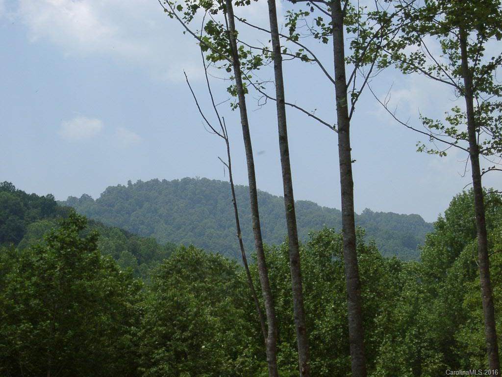 Lot 84 Rising Sun Road - Photo 1