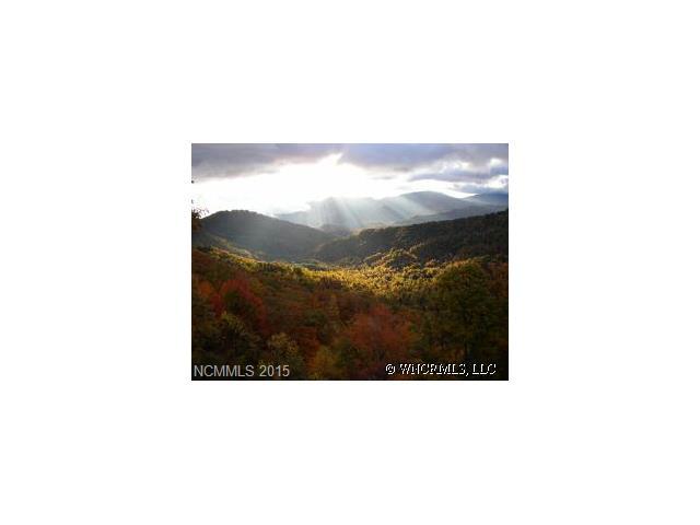 340 Running Deer Trail - Photo 1