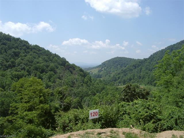 Lot 120 Red Sky Ridge - Photo 1